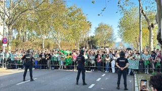 Antiviolencia propone una multa de 50.000 euros y el cierre un mes del Benito Villamarín