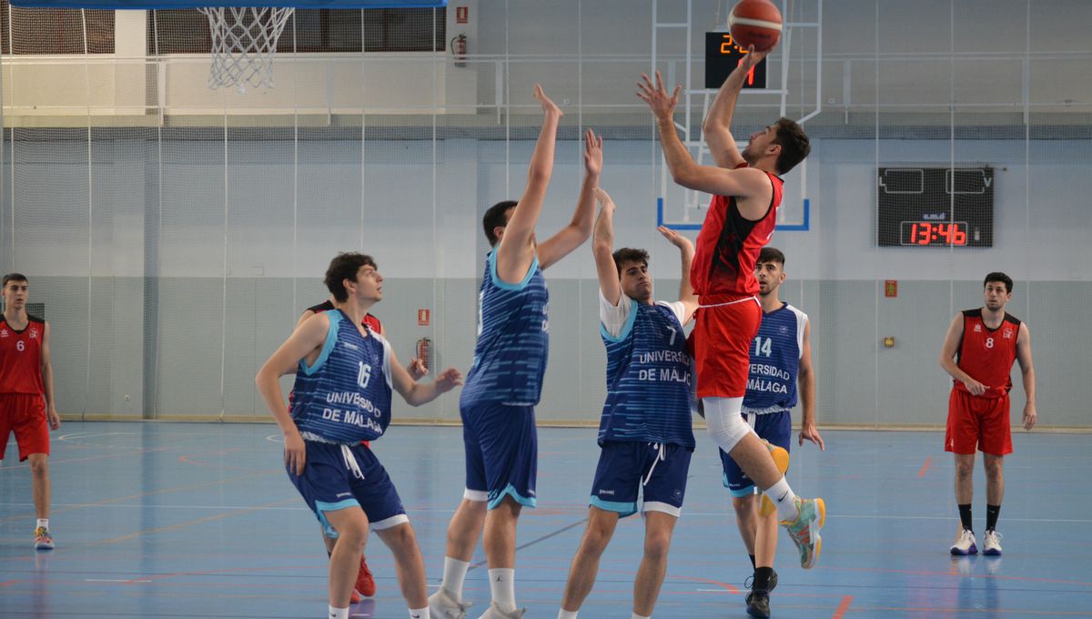 La Universidad de Sevilla se prepara para el europeo de baloncesto