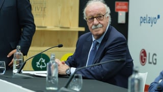 La sorprendente petición de Vicente del Bosque para aceptar la tutela de la RFEF