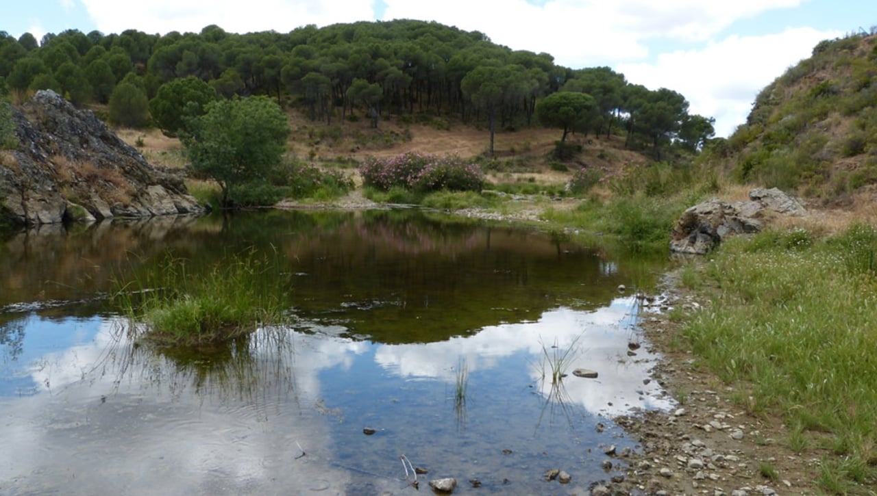 La segunda jornada del Circuito Provincial de Senderismo será en El Castillo de Las Guardas