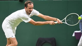 Medvedev toca fondo en Países Bajos