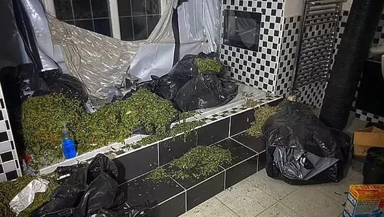 Encuentran una plantanción industrial de marihuana en la mansión de un futbolista inglés que militó en el Zaragoza