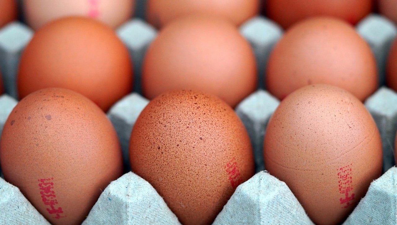 El tamaño sí importa: Mejor huevos pequeños