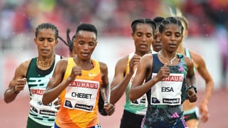 El Cross Internacional de Itálica viene plagado de estrellas