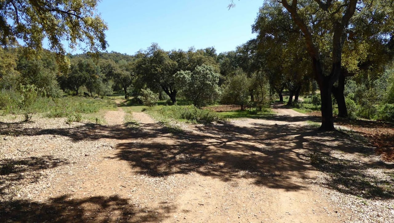 El Caserío de la Playa Baja en Constantina