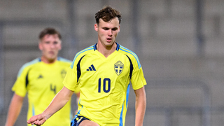 Preocupados con Swedberg