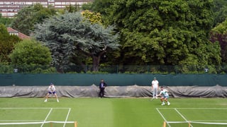 Sinner y Djokovic, mano a mano en Londres