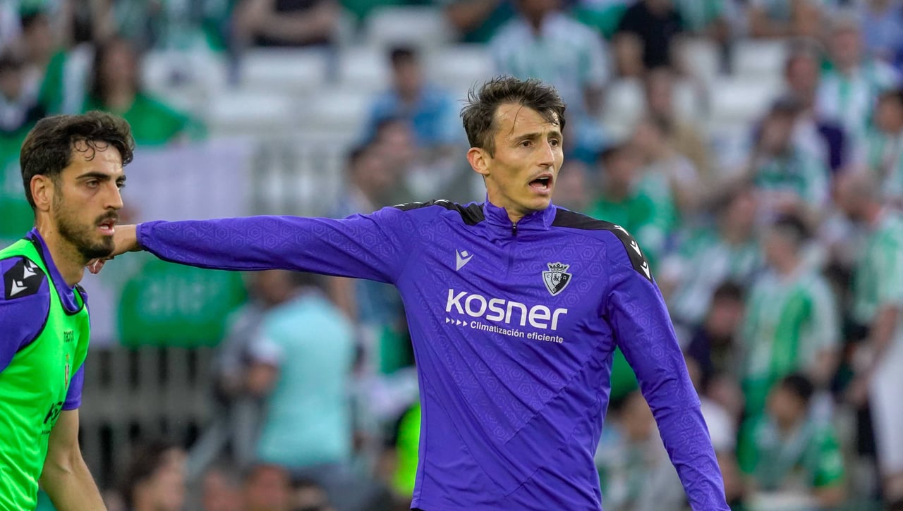 Admiten lo de Ante Budimir 