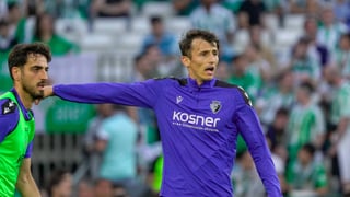 Admiten lo de Ante Budimir 