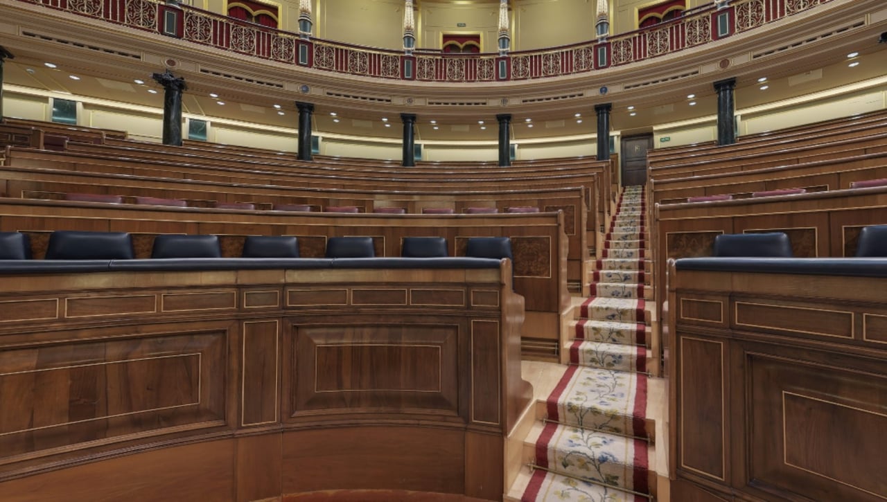 Del Congreso de los diputados a modelo de OnlyFans