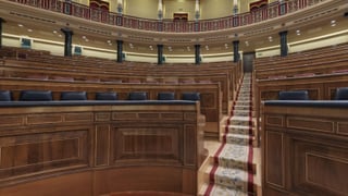 Del Congreso de los diputados a modelo de OnlyFans