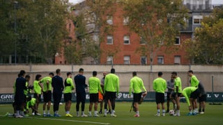 La decisiva terapia de grupo