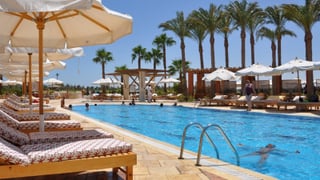 Catador de piscinas o probador de playas, las ofertas de empleo más virales este verano