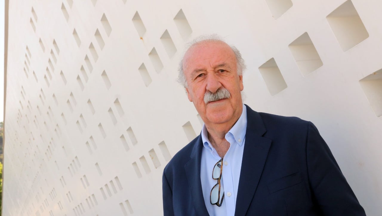 La 'espinita' de Vicente del Bosque