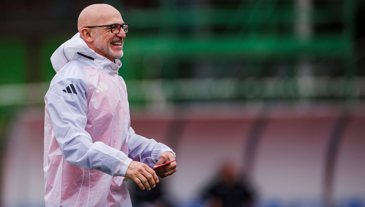 Dos piedras en el camino de Luis de la Fuente