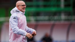 Dos piedras en el camino de Luis de la Fuente 