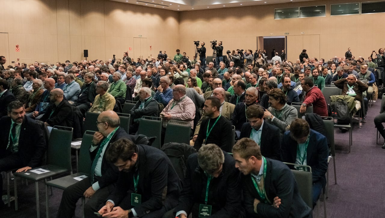 El visto bueno final a la ampliación de capital: proceso, plazos, requisitos y precios