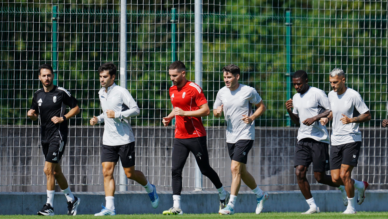 El Gobierno perjudica al Granada