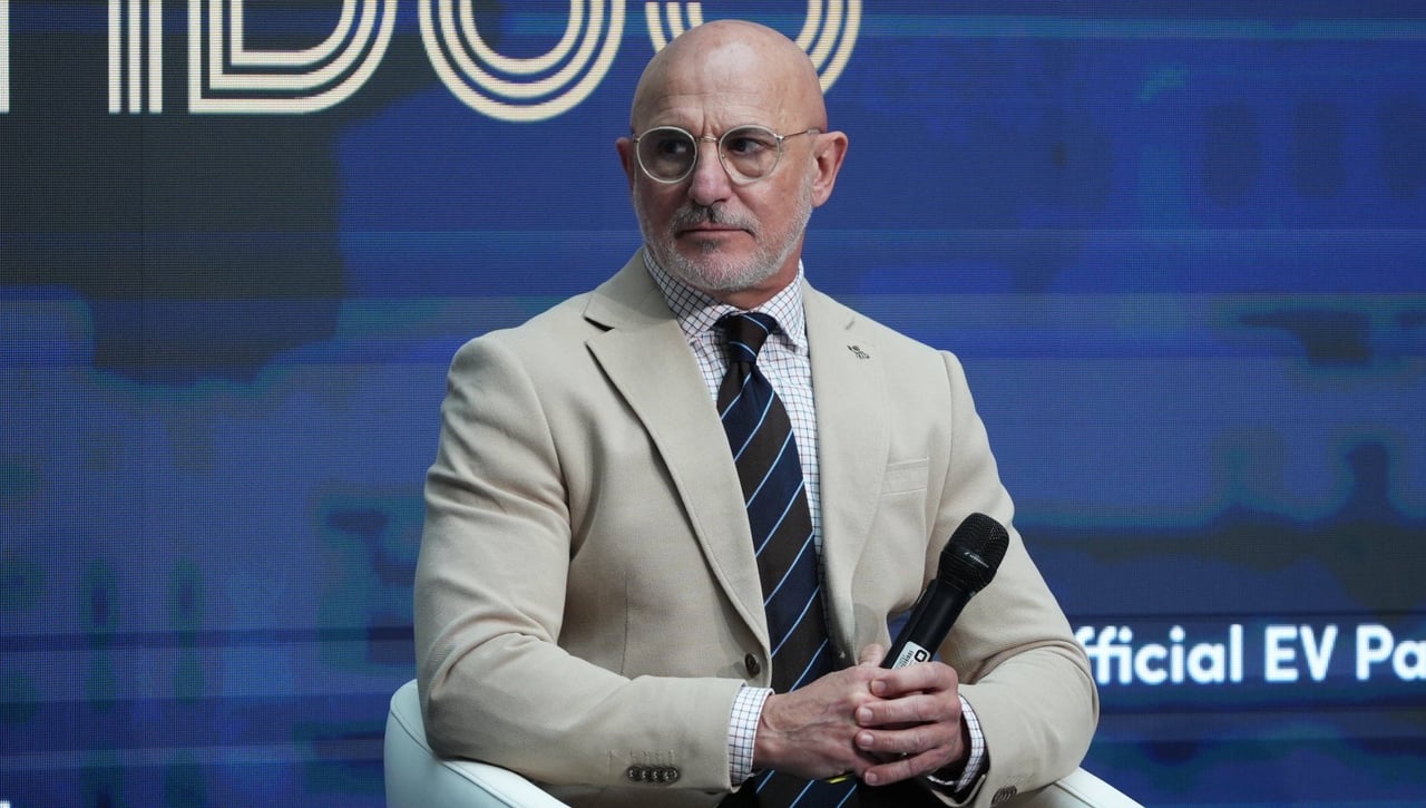 Luis de la Fuente, a guantazos