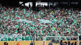 Rocky Balboa es el talismán para Palmeiras