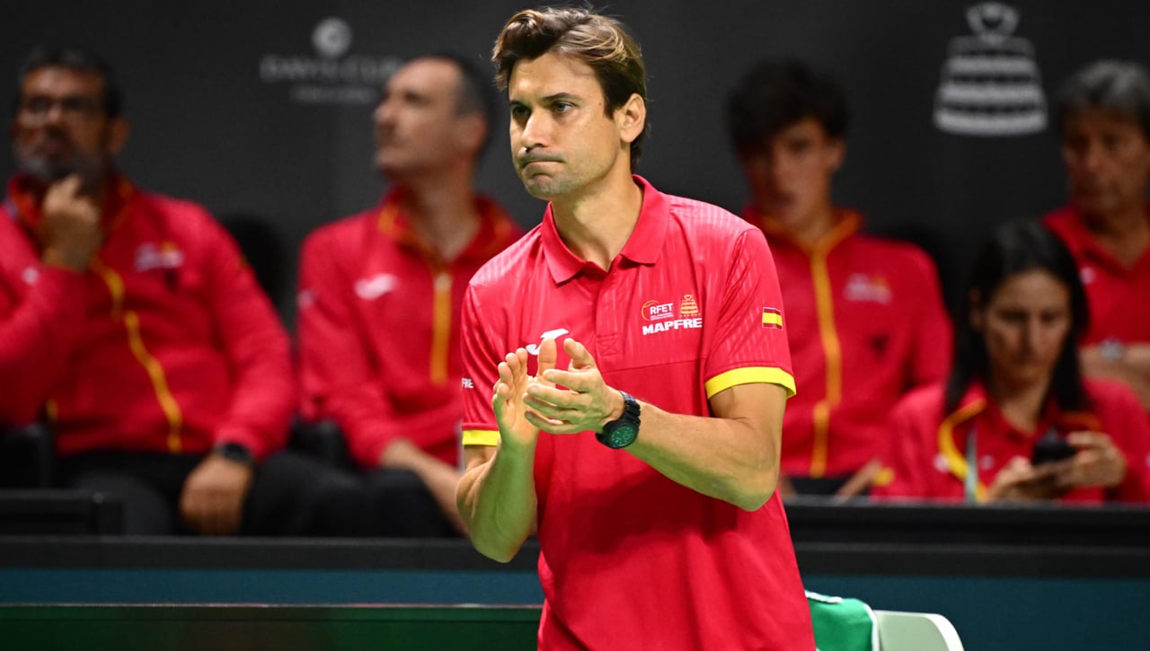 David Ferrer ya tiene sustituto