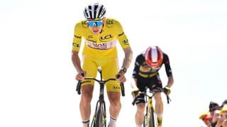 Pogacar se lía a 'golpes' y Vingegaard acaba por los suelos 