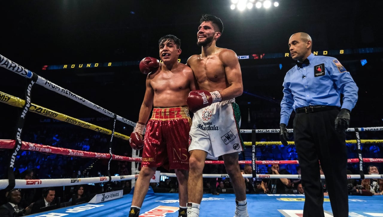 ¿Cuáles son las diferentes categorías y distribución de pesos en el boxeo profesional?