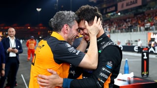 Recuerdos de Vietnam por Fernando Alonso