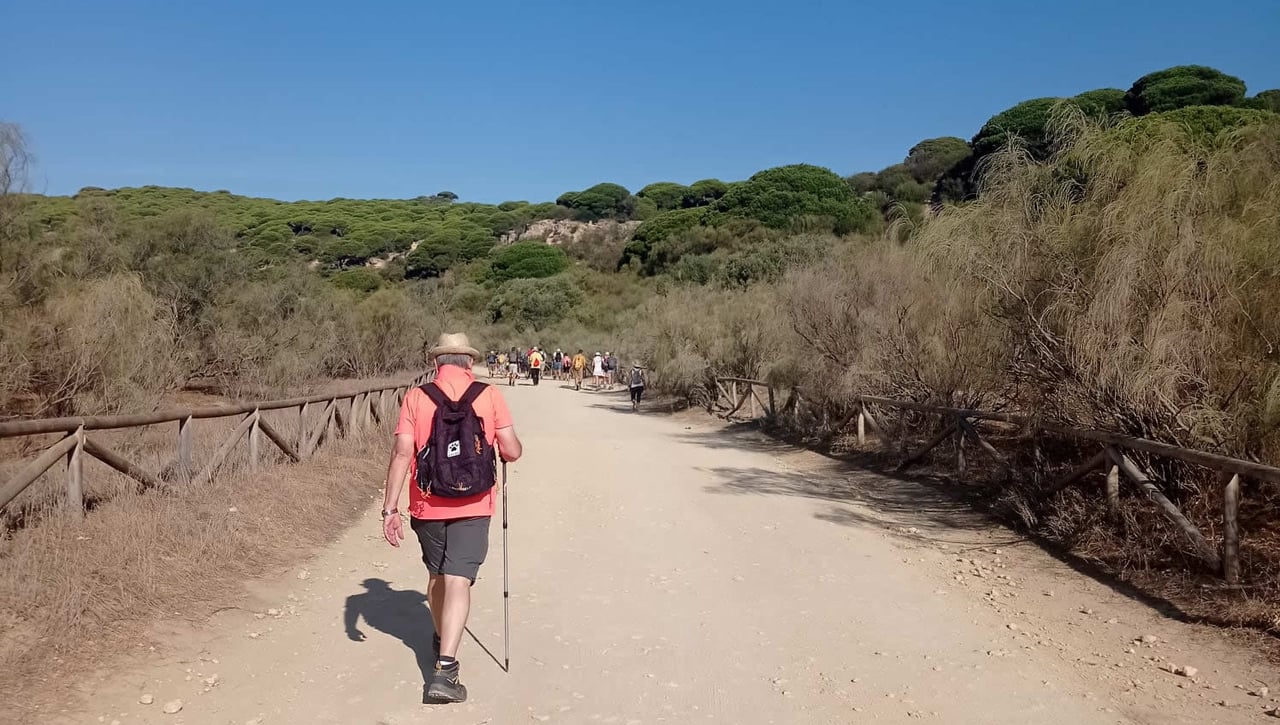 De ruta con la Universidad de Sevilla