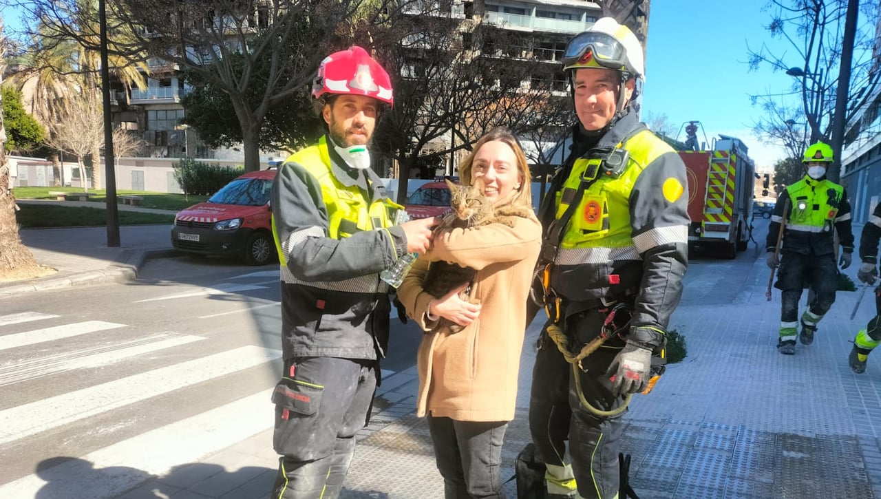 El milagro de Coco, el gato encontrado con vida ocho días después en el edificio incendiado de Valencia