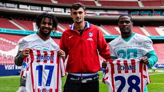 Madrid enamora a los Dolphins: "Me encanta viajar y nunca había estado en España"