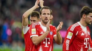 Jornada 12 de la Bundesliga 2025-26 | Partidos, horarios y dónde ver en TV la liga alemana en vivo online