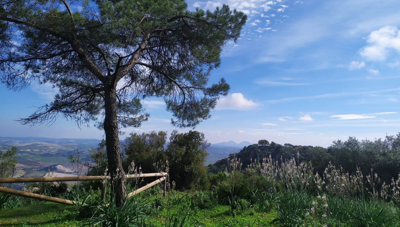 Vuelve el deporte a la Sierra de San Pablo