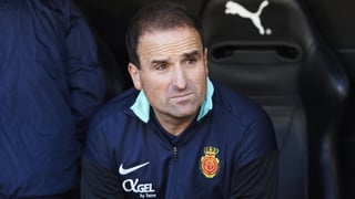 Arrasate, desquiciado