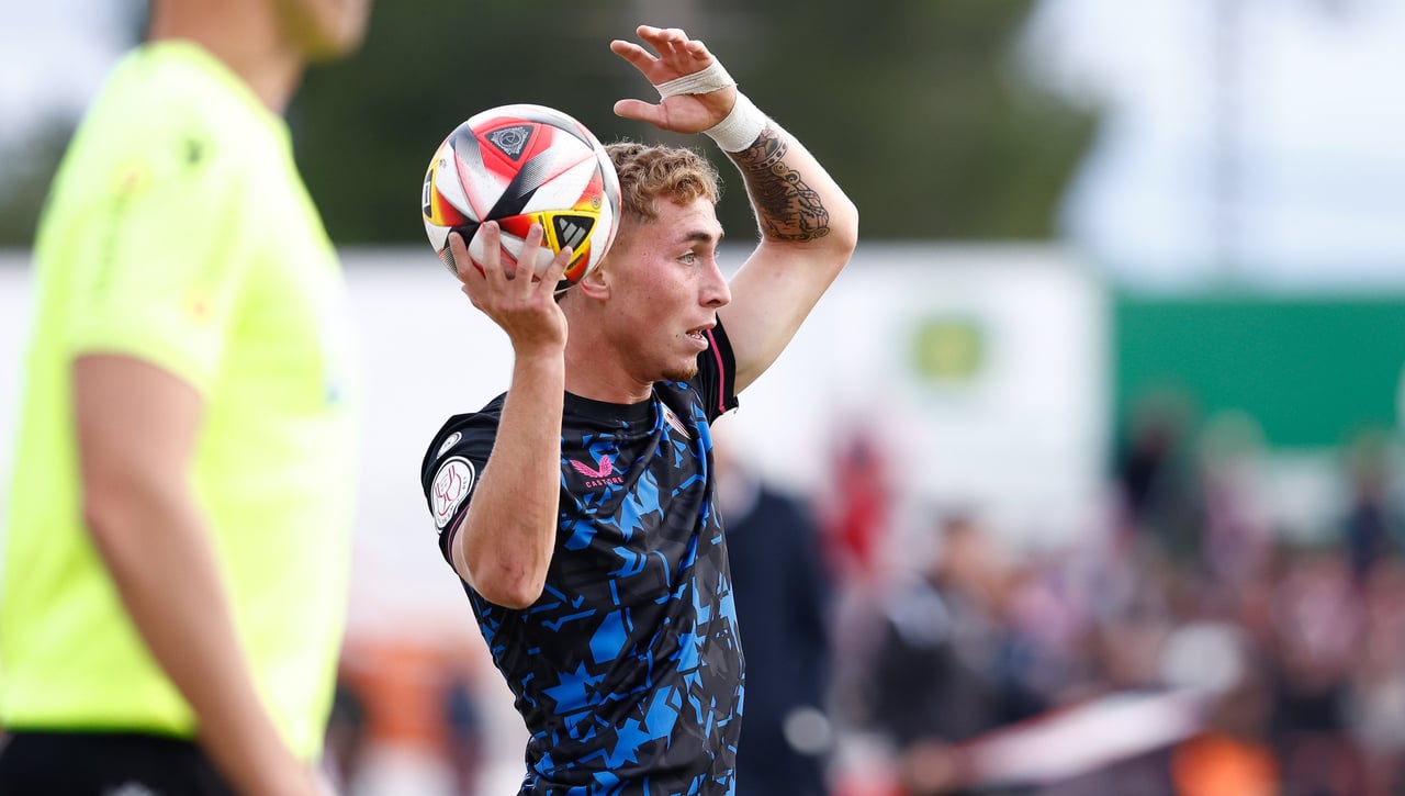 Rendimiento y opciones claras de rentabilidad de la misma simiente