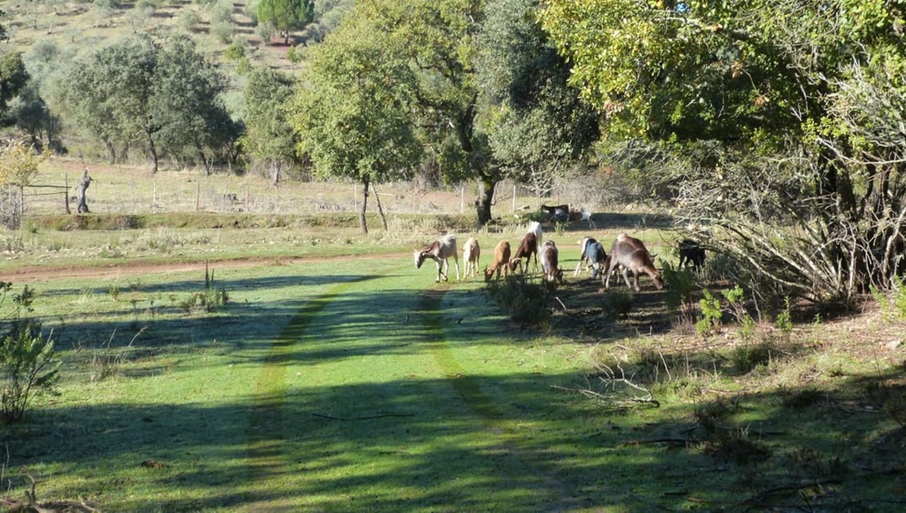Alanís - San Nicolás: una ruta por el norte sevillano