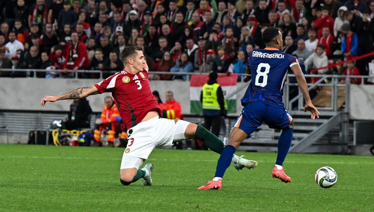 Oficial: Tamás Nikitscher, fichado 