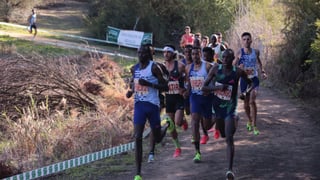Aregawi y Chebet, los galácticos del próximo Cross de Itálica