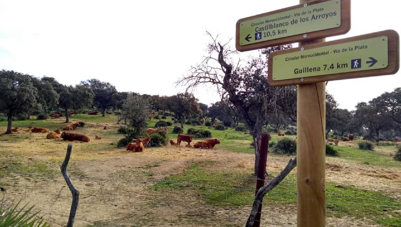 La octava jornada del Circuito Provincial de Senderismo se celebrará el 18 de mayo