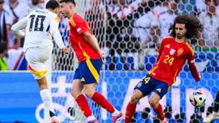 Piden la repetición del España - Alemania