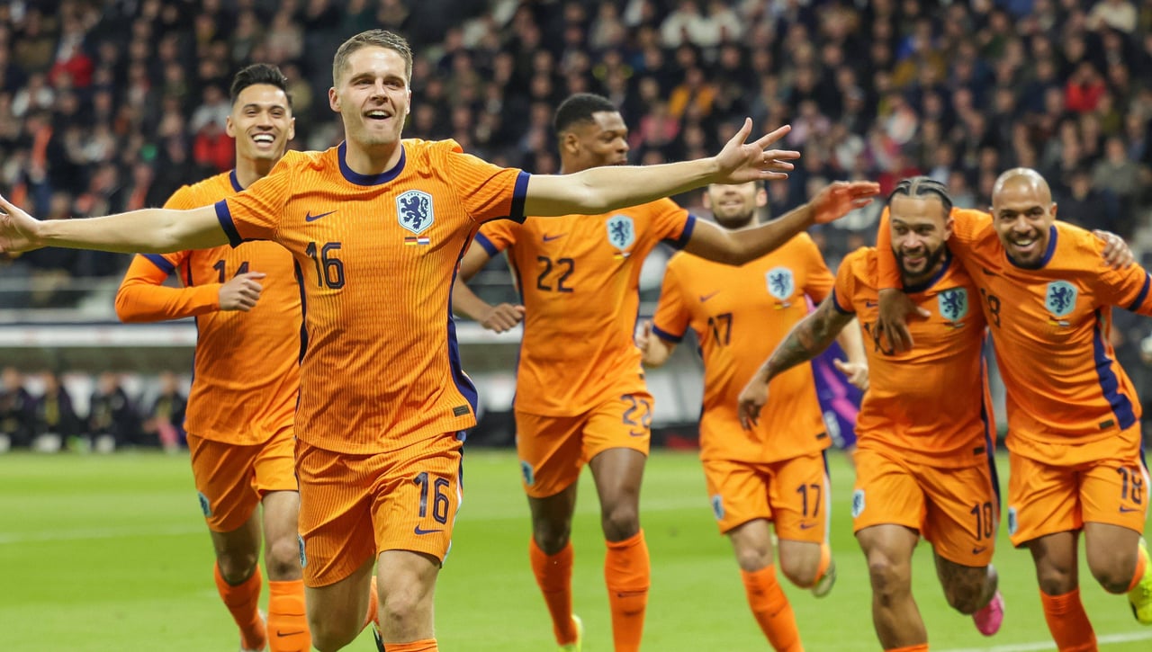 "No hay absolutamente nada de verdad. Es todo mentira"