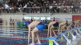 La Jornada Final del Circuito Provincial de Natación de Invierno llega a su fin