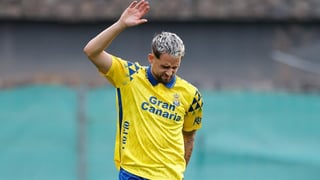 Los plazos para el regreso de Januzaj