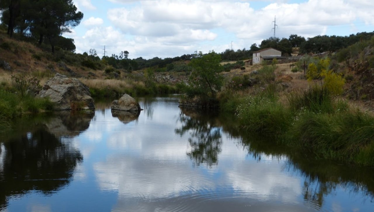 Una vuelta por el Guadiamar en el Castillo de las Guardas