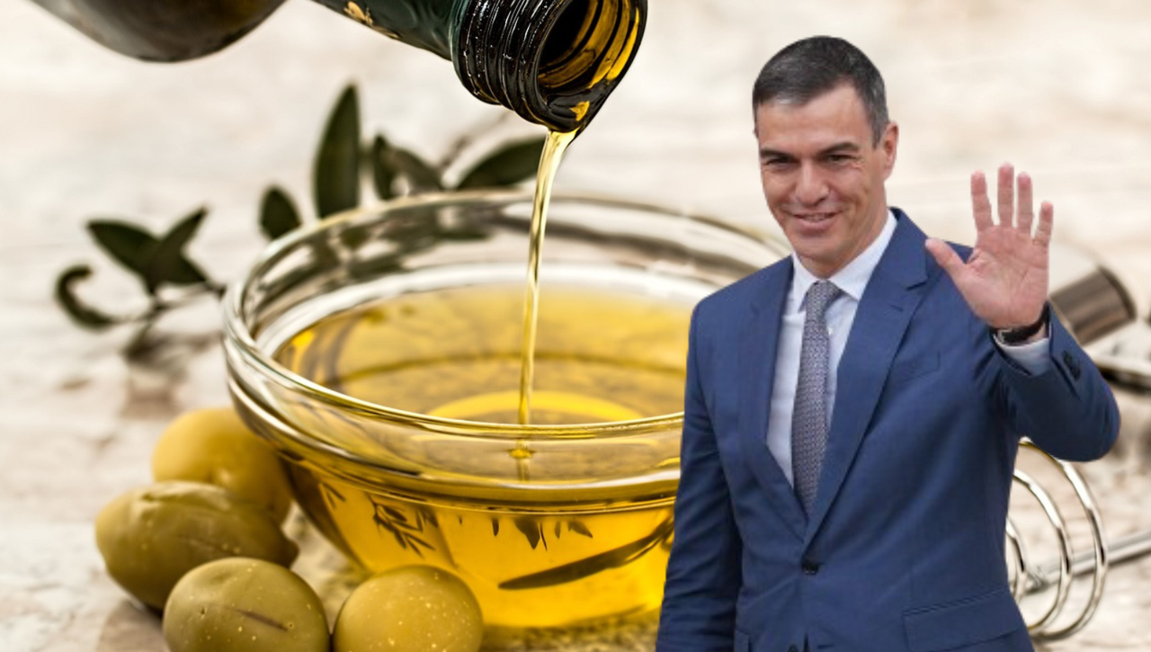 El nuevo precio del aceite de oliva tras la rebaja del IVA