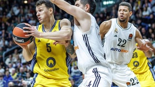 Liga ACB | Horario y dónde ver por TV la jornada 15 de la Liga Endesa de baloncesto