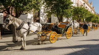 El fin de los coches de caballos