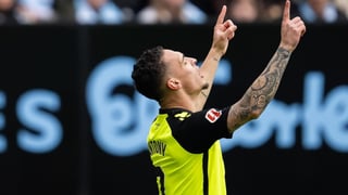 Vuelve a donde todo empezó 