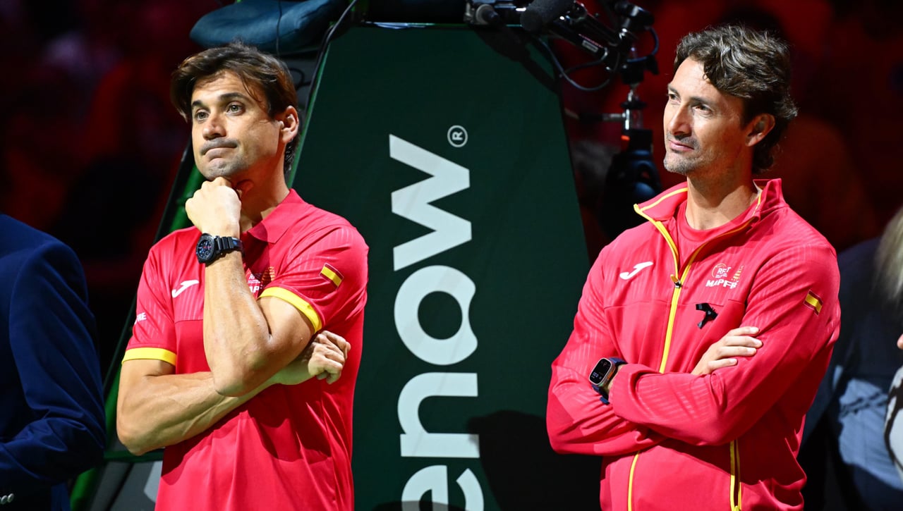 David Ferrer y Alejandro Davidovich se han cargado la Copa Davis de España