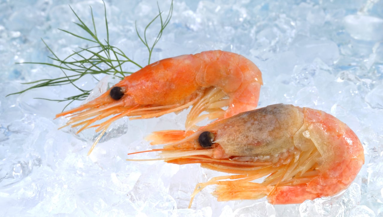 El truco definitivo para reconocer el marisco de calidad en el supermercado